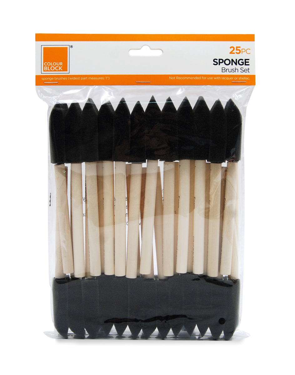 Sponge Brush Set - 25pc