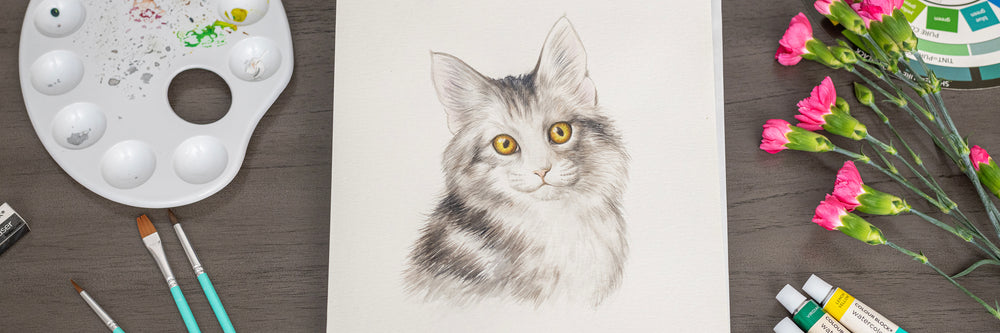 Simplified Cat Colorblock Create Your Own Fluffy Cat with Colour Block!