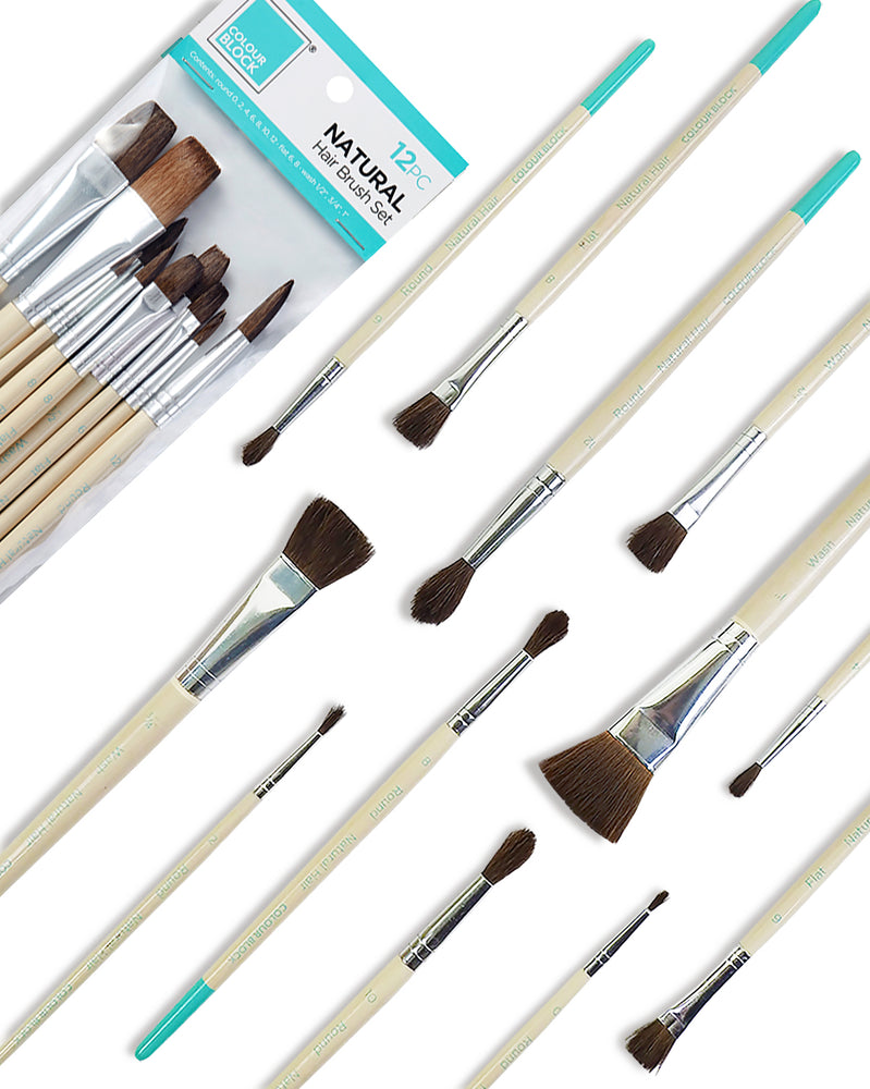 Natural Hair Paint Brush Set - 12pc_Colour Block™