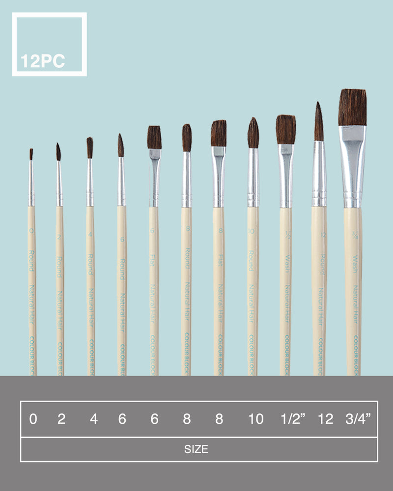 Natural Hair Paint Brush Set - 12pc_Colour Block&trade;