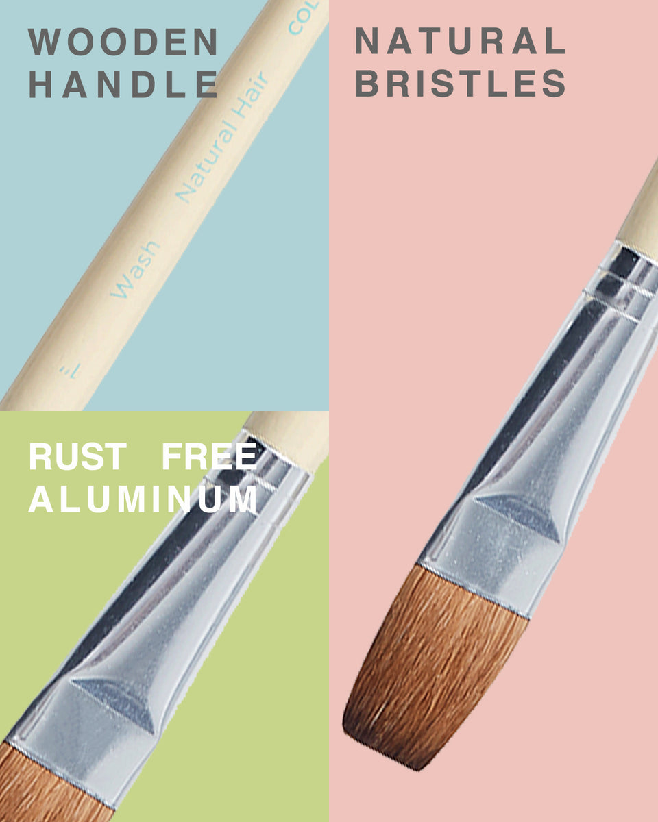 Colour Block Natural Hair Paint Brush Set 12 pack